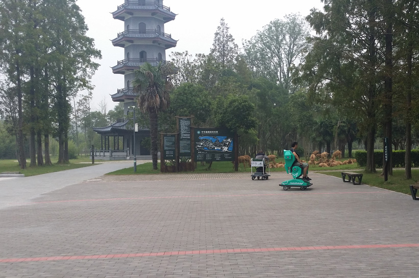 爱尔威租赁